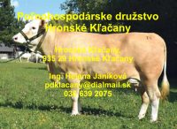 Poľnohospodárske družstvo Hronské Kľačany